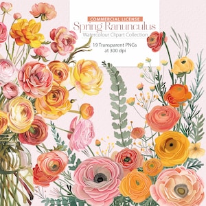 Collection aquarelle de renoncules printaniers