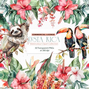 Costa Rica Clipart, Clipart aquarelle fleurs tropicales et feuilles, Hibiscus Clipart, Clipart Tropical, Clipart fleur hawaïenne, Tropical