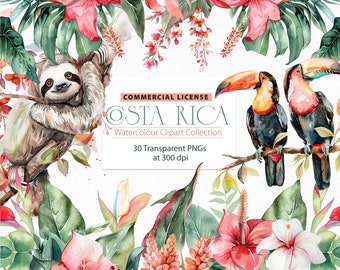 Costa Rica Clipart, Watercolor Tropical Flowers And Leaves Clipart, Hibiscus Clipart, Tropical Clipart, Hawaiian Flower Clipart, Tropical