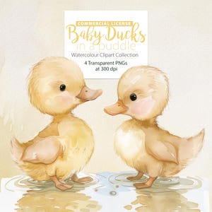 Baby eenden in een plas aquarel ClipArt, babydieren, babyshower, kinderkamer clipart, baby eendjes Clipart