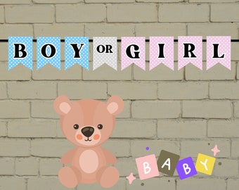 Digital Gender Reveal Banner, Electronic Gender Reveal Banner, Retro Gender Reveal, Boy or Girl banner, Instant Download Gender Reveal