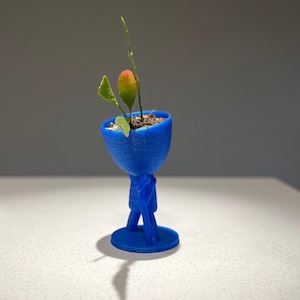 May include: A blue 3D printed figurine of a person holding a small plant in a pot on its head. The plant has a single green leaf and a small orange fruit.