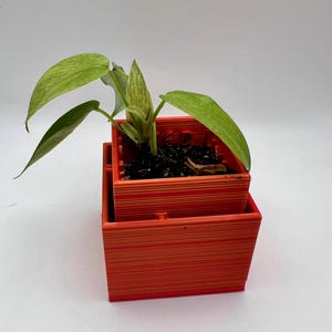 Square Self-Watering Starter Plant Pot: 2-inch, Gifts for Plant Lovers