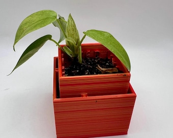 Square Modern Art Deco Self-Watering Starter Plant Pot: 2-inch