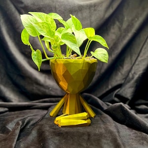 Maceta contemporánea para meditación y yoga en interiores