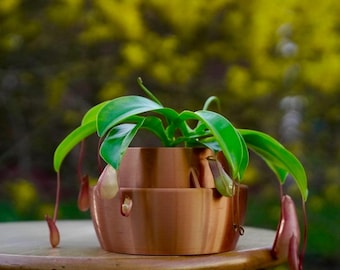 Zelfwaterende plantenpot: gladde, strakke textuur