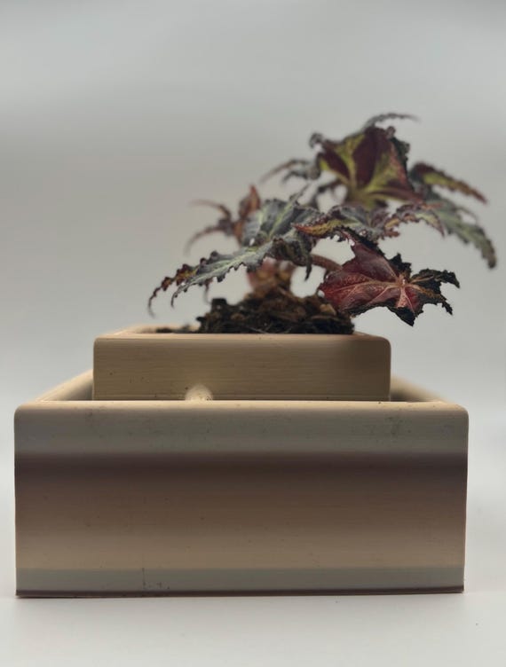 Square Self-watering Planter Pot| 5 in 1 |: 4x6 Inches, Gifts for Plant  Lovers - Etsy Israel