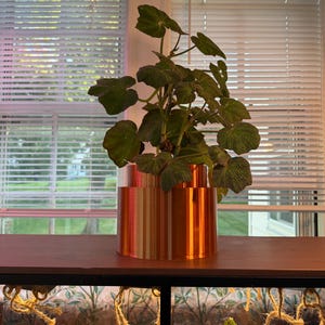 May include: A tiered cylindrical planter with a metallic copper finish containing a green leafy plant. The planter features two distinct levels with a smooth, reflective surface that catches the light, housing a plant with textured foliage.