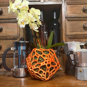 May include: A bright orange, organic-shaped planter with a complex, web-like lattice structure containing green moss and a yellow orchid plant. The planter is positioned between a glass French press and a metallic stovetop espresso maker.