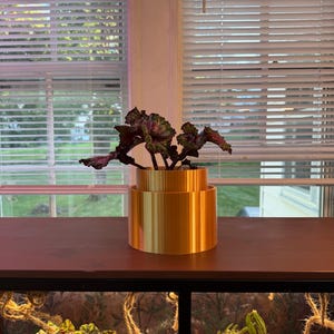 May include: A tiered, metallic gold cylindrical planter holding a plant with dark, ruffled, purple and green variegated leaves. The planter features a smooth, reflective finish with a distinct stepped design, creating two levels of height for the plant.