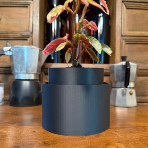 Self Watering Planter With Optional 4 Inch Wide Clear Insert | Art Deco Matte Ridged Texture Pot for Rare Plants and Semi-Hydroponics