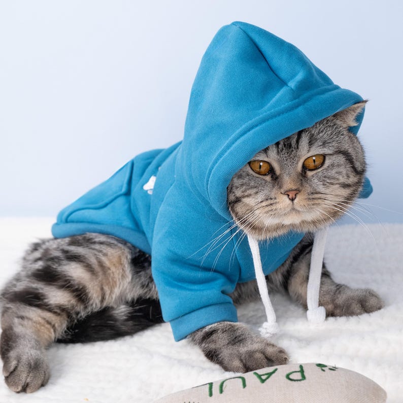 May include: A gray tabby cat wearing a blue hooded sweatshirt with white drawstrings. The cat is lying on a white surface, looking directly at the camera. The sweatshirt has a small white design on the chest.