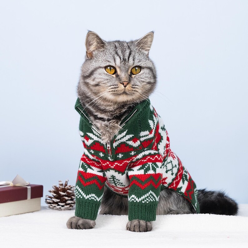 May include: A gray tabby cat wearing a Christmas-themed sweater with a green, red, and white pattern. The sweater has a zipper and a hood. The cat is sitting on a white surface with a gift box and pinecone.