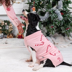 Valentine'S Day Dog Sweater Personalized Heart Sweater for Pet Custom Cat Sweater for Dog Pets New Puppy Gifts Outfit for Pets image 5