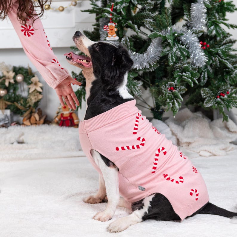 Valentine'S Day Dog Sweater Personalized Heart Sweater for Pet Custom Cat Sweater for Dog Pets New Puppy Gifts Outfit for Pets image 5