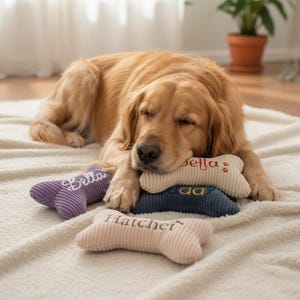 Op de afbeelding: Een slapende Golden Retriever ligt op een cr&egrave;mekleurige deken, omringd door botvormig hondenspeelgoed. De speeltjes zijn in verschillende kleuren, waaronder paars, beige en marineblauw, elk geborduurd met een naam.