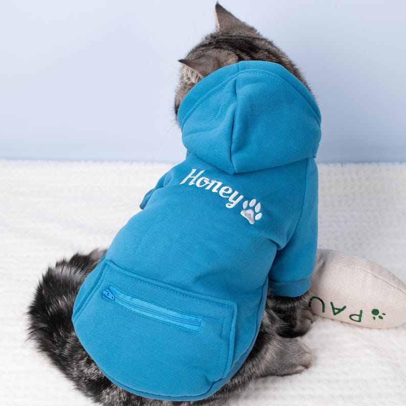 May include: A blue pet hoodie with a hood and a front pocket. The word "Honey" is embroidered on the back in white, along with a paw print. The hoodie is on a gray tabby cat.