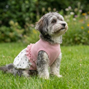 Peut inclure: Un petit chien au pelage gris et blanc portant un haut en maille gaufr&eacute;e rose avec une taille &agrave; volants et une jupe blanche &agrave; petites fleurs. Le v&ecirc;tement pr&eacute;sente une coupe sans manches et une encolure ronde, ajust&eacute;e autour du torse.