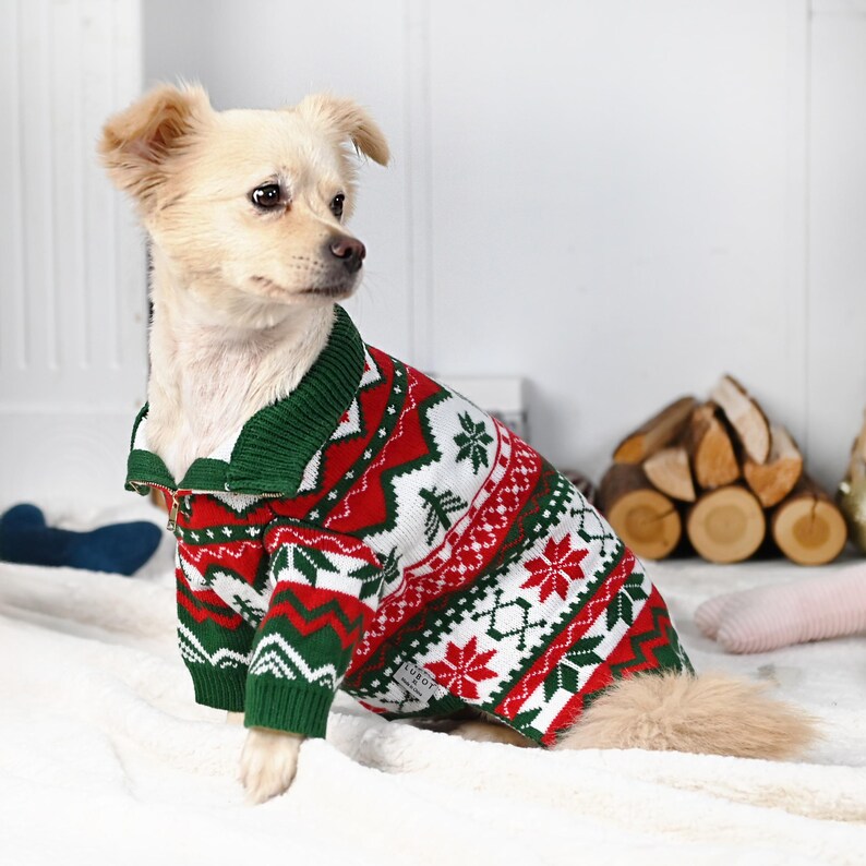 May include: A small dog wearing a festive Christmas sweater. The sweater features a red, white, and green pattern with snowflakes, trees, and geometric designs. The sweater has a green collar and a zipper closure.