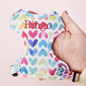 Embroidered Puppy Harness Personalized Girl Dog Harness Leash Colorful Hearts Pet Harness Bundle Custom Cat Harness with Name Gifts for Dog