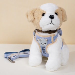 Personalized Dog Harness for Small Dog Harness with Embroidered Name for Puppy Harness with Cute Backpack Custom Pet Harness and Leash Set