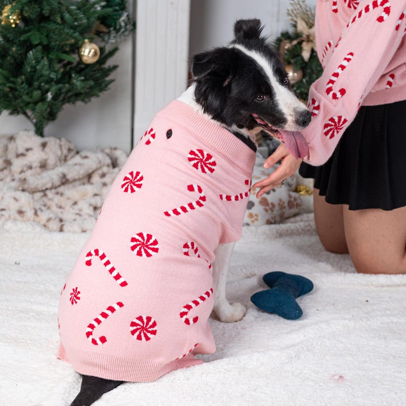 Valentine'S Day Dog Sweater Personalized Heart Sweater for Pet Custom Cat Sweater for Dog Pets New Puppy Gifts Outfit for Pets image 4