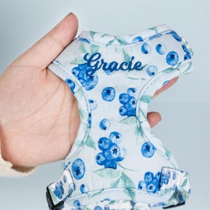 Personalized Dog Harness with Name Embroidered Dog Harness and Leash Set Custom Puppy Harness Girl Cute Cat Harness Pet Harness Dog Gifts