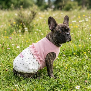 Peut inclure: Un bouledogue fran&ccedil;ais bring&eacute; portant un haut sans manches en maille gaufr&eacute;e rose avec une taille &agrave; volants et une jupe blanche &agrave; petit motif floral. Le v&ecirc;tement pr&eacute;sente un bord &agrave; volants rose &agrave; la taille et un petit d&eacute;tail de texte rose.