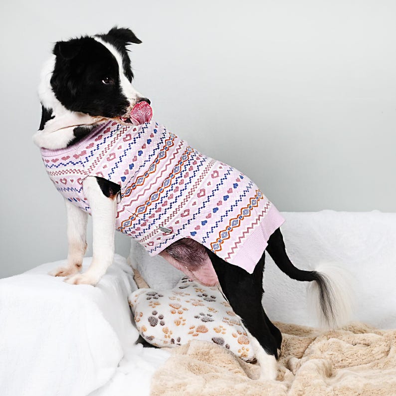 Valentine'S Day Dog Sweater Personalized Heart Sweater for Pet Custom Cat Sweater for Dog Pets New Puppy Gifts Outfit for Pets image 3