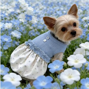 Peut inclure: Un petit chien portant un haut sans manches bleu clair c&ocirc;tel&eacute; avec deux petits boutons &agrave; l'encolure et une couture &agrave; la taille &agrave; volants. La partie inf&eacute;rieure du v&ecirc;tement est une jupe cr&egrave;me avec un d&eacute;licat motif floral bleu miniature.