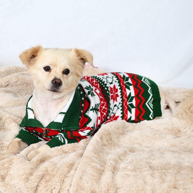 May include: A small, light-colored dog wearing a Christmas-themed sweater. The sweater features a pattern of red, green, and white snowflakes and geometric designs. The dog is lying on a soft, beige blanket.