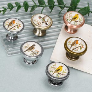 Peut inclure: Six boutons de placard ronds avec des finitions métalliques argentées, laiton, cuivrées et antiques. Chaque bouton présente un insert blanc circulaire orné d'une illustration détaillée d'un petit oiseau perché sur une branche fleurie.