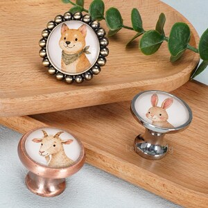 Può includere: Tre pomelli rotondi per mobili con illustrazioni di un cane con bandana verde, un coniglio e una capra. I pomelli presentano finiture metalliche nei toni del bronzo, argento e rame, con cornici circolari e basi lisce e arrotondate.