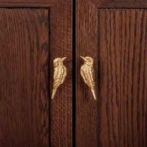 Pu&ograve; includere: Due pomelli dorati a forma di uccello montati su un'anta di un armadio in legno marrone scuro. Le maniglie a forma di uccello sono dettagliate con piume e becchi, aggiungendo un tocco decorativo al mobile. La venatura del legno &egrave; visibile.