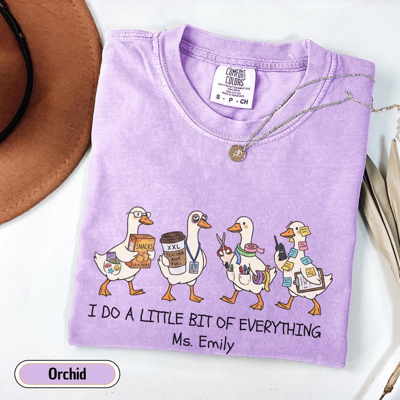 Personalized paraprofessional Comfort Colors shirt featuring funny goose characters carrying school supplies, coffee, snacks, and classroom essentials with custom teacher name, perfect gift for teacher aides, paraeducators, SPED staff, and RBTs.