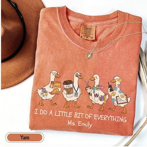Personalized paraprofessional Comfort Colors shirt featuring funny goose characters carrying school supplies, coffee, snacks, and classroom essentials with custom teacher name, perfect gift for teacher aides, paraeducators, SPED staff, and RBTs.