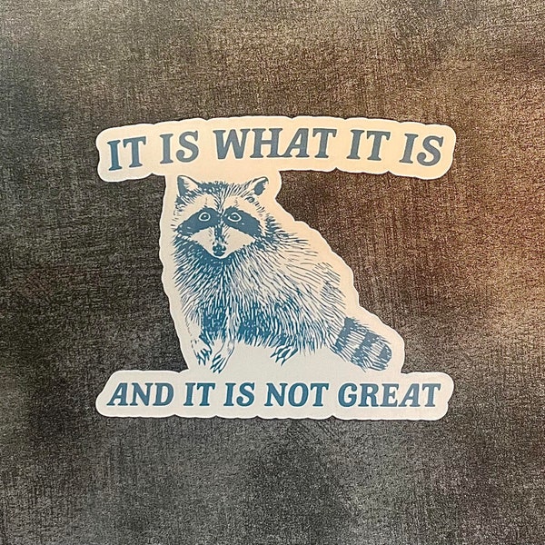 It is what it is and its not great vinyl sticker decal