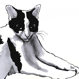 Cat - Original Art Poster Print