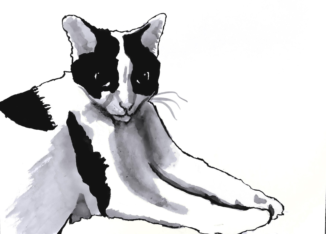 Cat - Original Ink Drawing - Etsy
