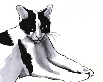 Cat - Original Ink Drawing