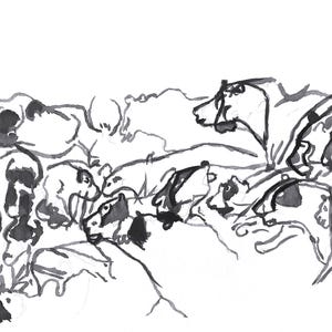 Chauvet Cave: Lions - Original Drawing