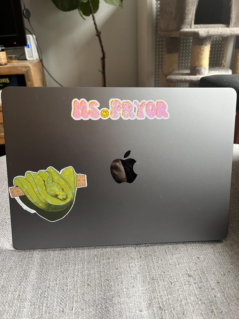K&ouml;nnte beinhalten: Ein graues Laptop mit zwei Aufklebern. Auf einem Aufkleber steht "MS. PRYOR" in rosa Buchstaben mit einem gelben Smiley. Der andere Aufkleber zeigt eine gr&uuml;ne Schlange, die sich um einen braunen Ast windet.