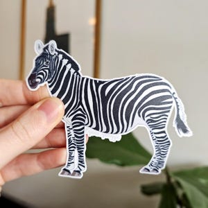 Slätzebra-klistermärke, zebraklistermärke, däggdjursklistermärke, 10 cm brett, vetenskapligt klistermärke, handritat, realistiska klistermärken, vattentåligt