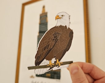 Bald Eagle Sticker, Bird Sticker, Science Sticker, 4in Tall, Artistic Drawing, Realistic Stickers, Water Resistant Stickers