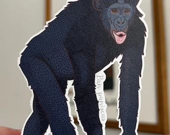 Bonobo Sticker, Ape Sticker, Primate Sticker, Science Sticker, Hand-Drawn, Realistic Stickers, 4in Tall, Water Resistant