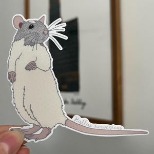 Sticker rat, Sticker rongeur, Sticker mammifère, Sticker scientifique, Stickers réalistes dessinés à la main, 4 po. de large, résistant à l'eau