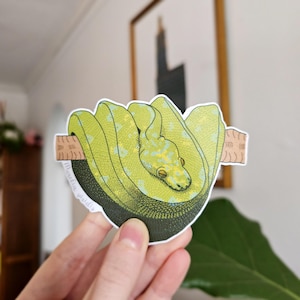 K&ouml;nnte beinhalten: Ein Aufkleber mit einer aufgerollten gr&uuml;nen Baumpython mit gelben Markierungen, die auf einem braunen Ast ruht. Die Schlange ist vor einem dunkelgr&uuml;nen Hintergrund platziert. Der Aufkleber tr&auml;gt den Text "Morelia viridis".