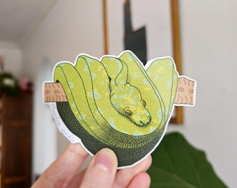 Green Tree Python Sticker, Python Sticker, Snake Sticker, 4in Wide, Science Sticker, Hand-Drawn, Realistic Stickers, Water Resistant