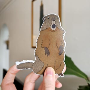 Murmeldjursklistermärke, Skogsmurmeldjursklistermärke, Ekorreklistermärke, 10 cm högt, Vetenskapligt klistermärke, Handritat, Realistiska klistermärken, Vattentåligt