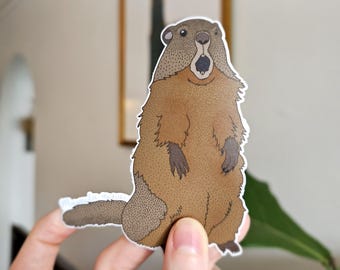 Murmeltier Aufkleber, Murmeltier Aufkleber, Eichhörnchen Aufkleber, 4 Zoll groß, Wissenschaft Aufkleber, handgezeichnet, realistisch Aufkleber, wasserfest